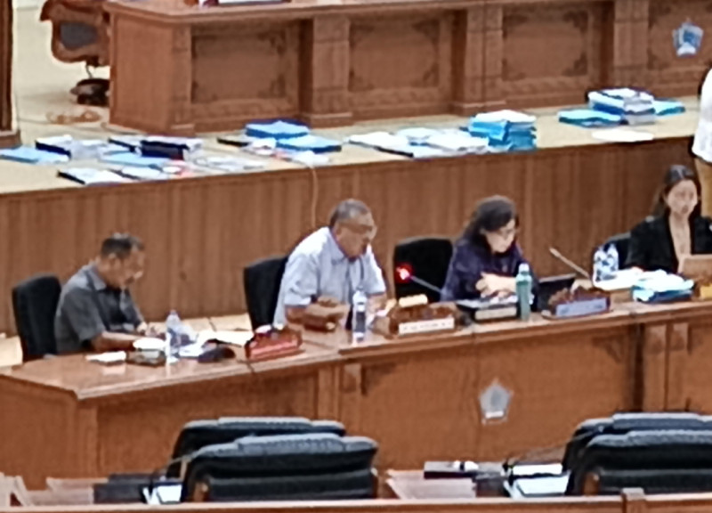 LKPJ 2024 Louis Schramm Pertanyakan Operasional Mami Yang Mencapai Nilai Fantastis