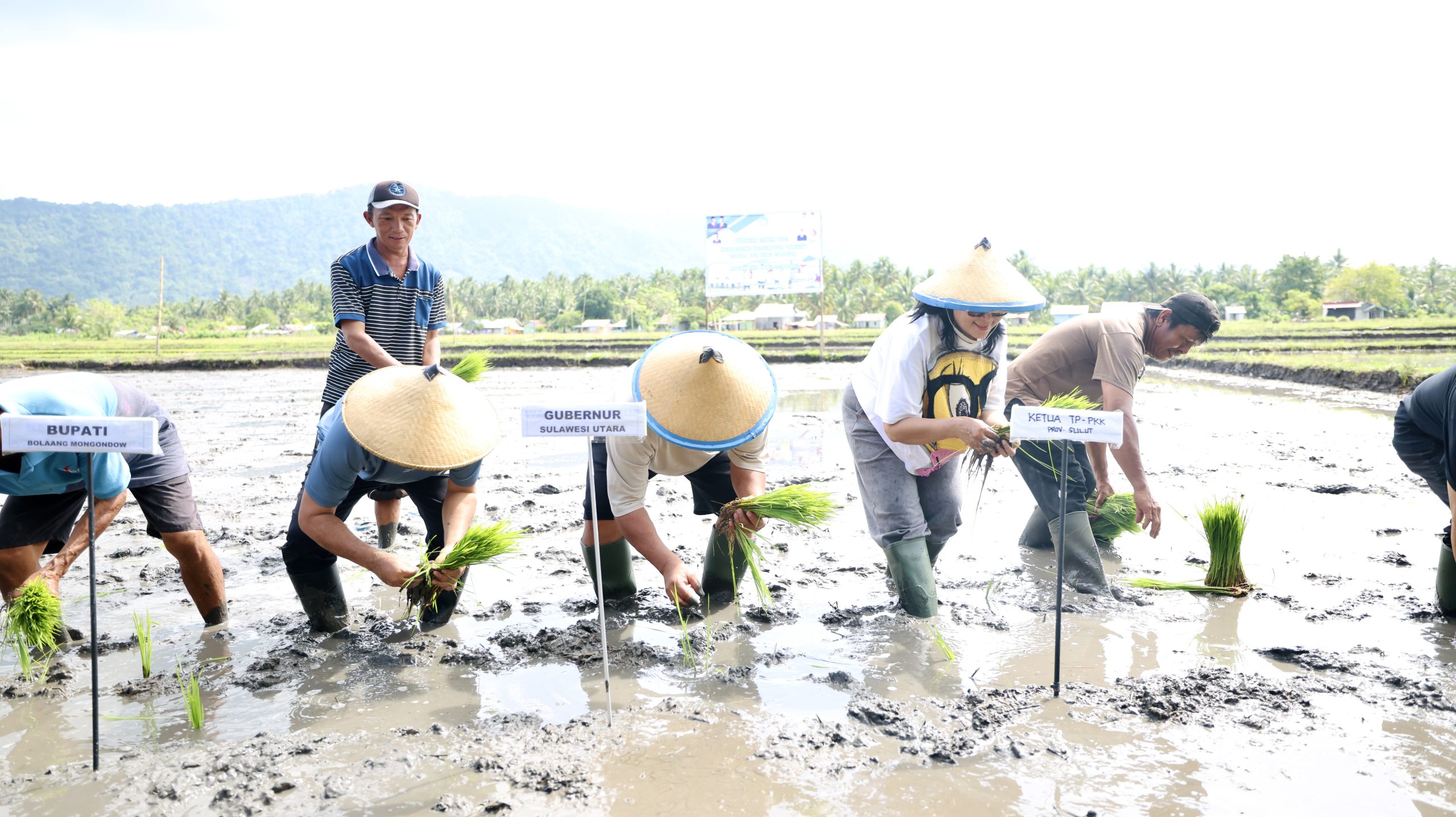 ​Gubernur YSK Turun ke Sawah di Solog: “Tanam yang Dimakan, Makan yang Ditanam!”