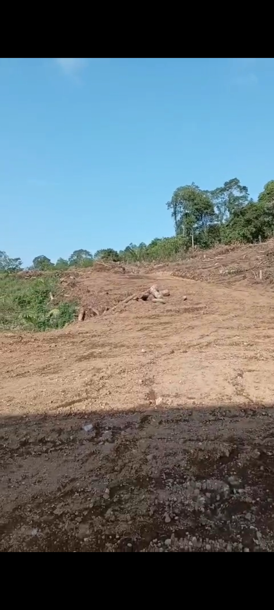 Hutan Tatawiran Digunduli, Warga Koha Raya Menjerit: “Jangan Tunggu Bencana Baru Bertindak!”